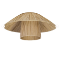  carta naturale ledvance  