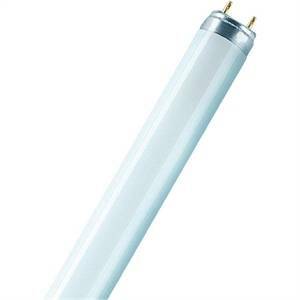 Osram lampadina tubo neon t5 13w 50cm luce naturale l13640sb