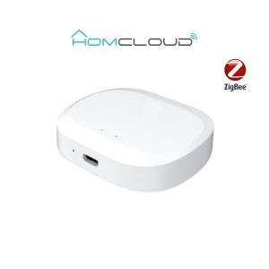 Centralina intelligente homecloud hub termovalvole - zigbee+bluetooth - vx-gh22