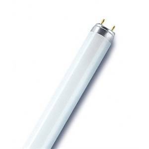 Osram lampadina tubo neon per alimenti t8 18w 60cm luce naturale l1876