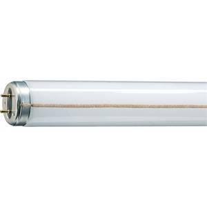 Lampadina tubo neon t12 20w 60cm luce naturale m2033