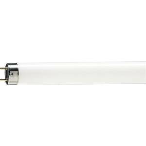 Lampadina tubo neon per alimenti t8 58w 150cm luce naturale 5879