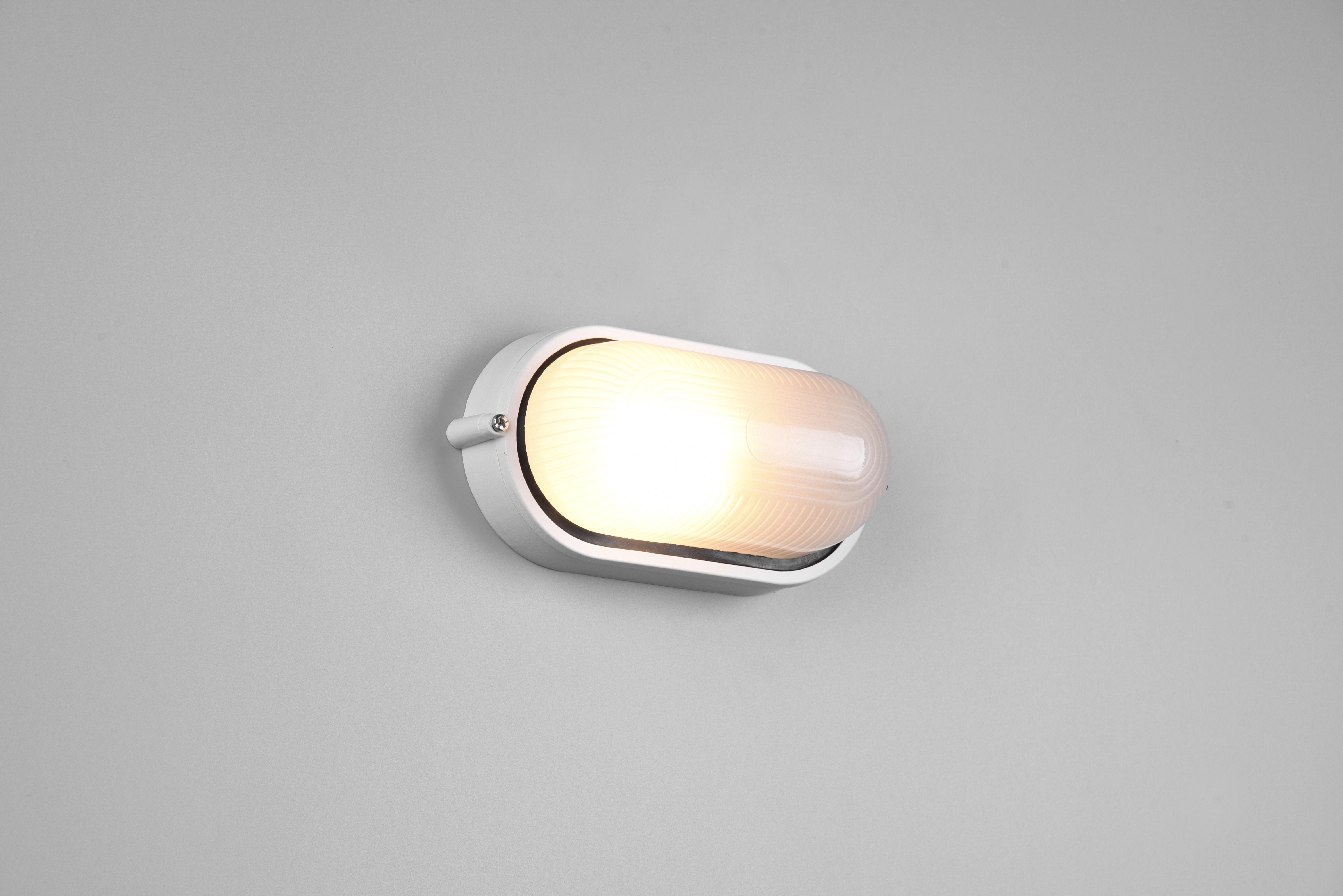 trio lighting alano plafoniera applique da esterno ovale futouchdimmerone di alluminio bianca e vetro satinato l.21,3cm ip44