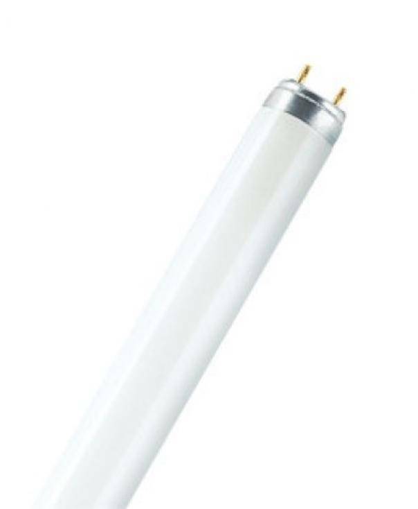 ledvance osram lampadina tubo neon t8 18w 60cm luce naturale l18840