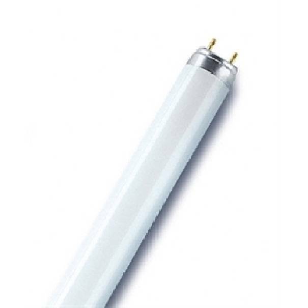 ledvance osram lampadina tubo neon per alimenti t8 18w 60cm luce naturale l1876