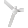  ventilatore  