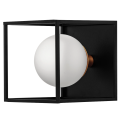 lampada  