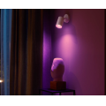  spot  