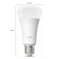  philips hue  