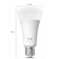  philips hue  