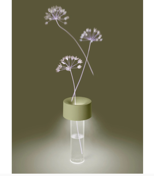 Lampada da tavolo led Foscarini Fleur ricaricabile 1,6W 3000K verde salvia - FN3260T000-42E00 02