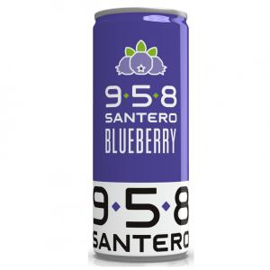 Blueberry gusto mirtillo in lattina 250 ml