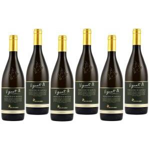 Vigneti b. 2022 verdicchio di matelica doc vino biologico 75 cl 6 bottiglie