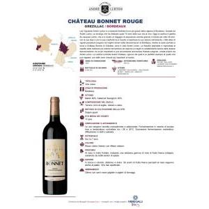 Bordeaux 2020 merlot cabernet sauvignon 75 cl