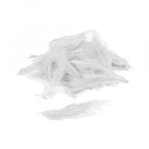Piume bianche - white feathers. 100pz/pcs