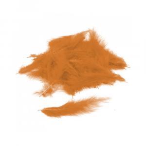 Piume arancio - orange feathers. 100pz/pcs