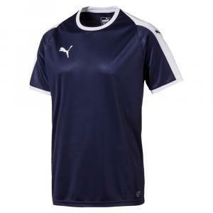 kit calcio puma