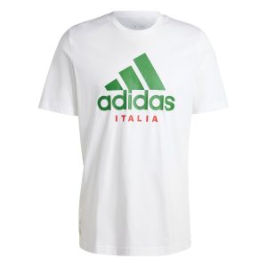 T-shirt nazionale italiana figc dna gr tee 2024 bianca