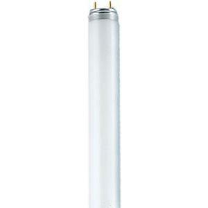 Philips 15T22F - Lampada incandescenza tubolare trasparente E14 15W 230V  per forni Appliance