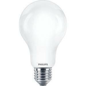 Philisp lampada led classic 120w a67 e27 cw fr ndrf classe energetica d  incaled120840
