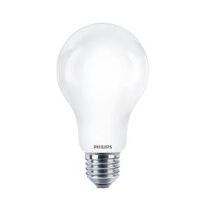Corepro lampada ledbulbnd 120w e27 a67 865 incaled120865g2