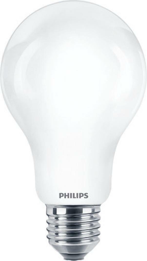 philips philips lampadina led classic 150w a67 e27 cw fr nd 1 incaled150840