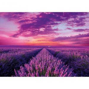 Puzzle 1000  lavender field hqc