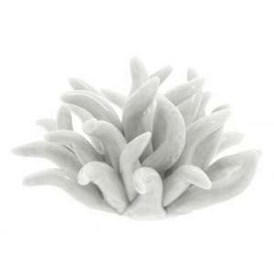 Corallo bianco in porcellana - 6 x 3 cm