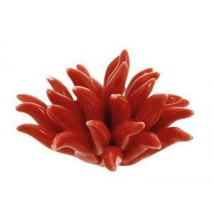 Corallo rosso in porcellana - 6 x 3 cm