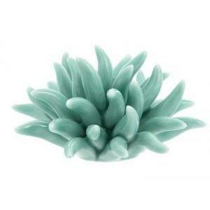 Corallo verde in porcellana - 6 x 3 cm