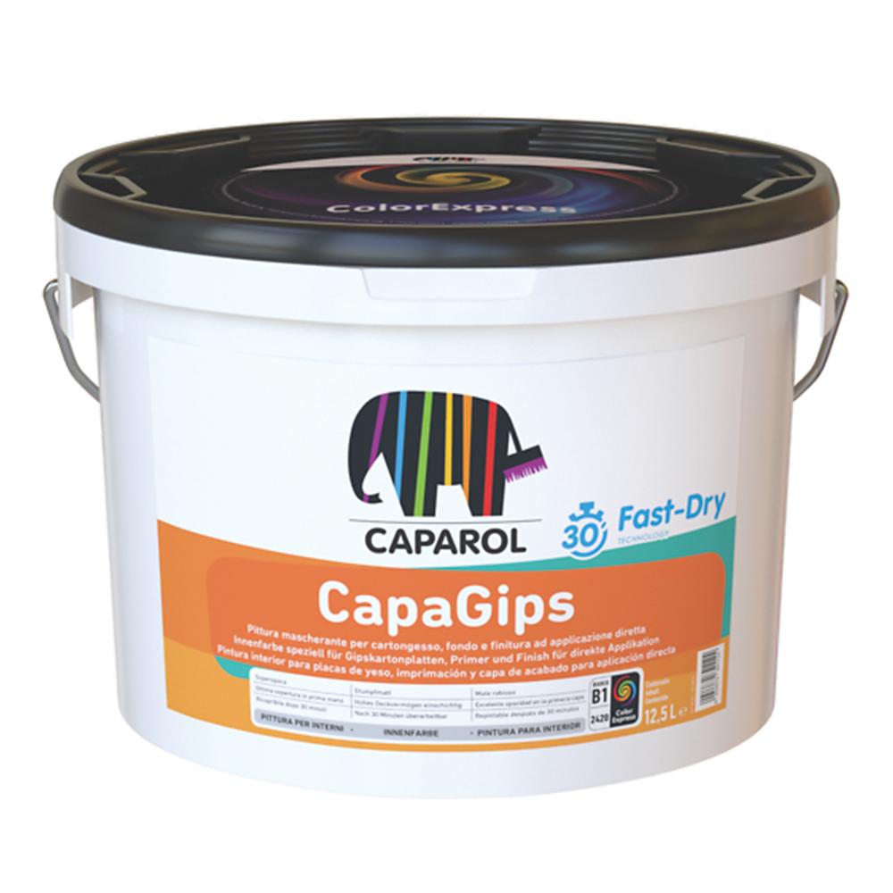 Caparol capagips 12,5 Lt