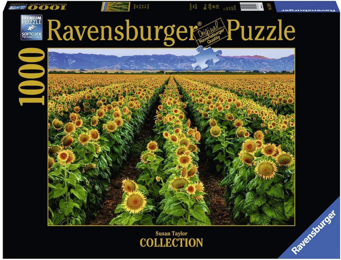 ravensburger puzzle 1000 pz campi di girasole