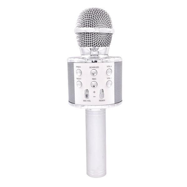 giocheria microfono karaoke