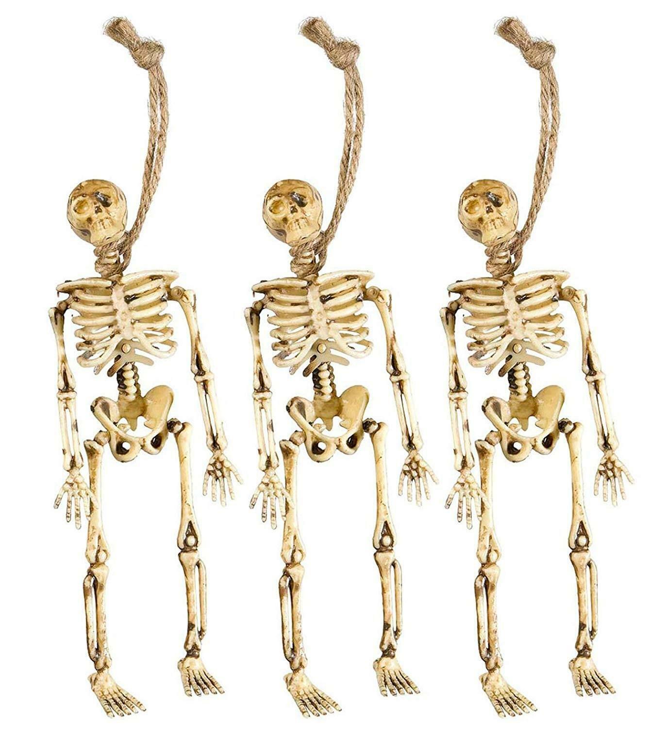 widmann set 3 scheletri 15 cm